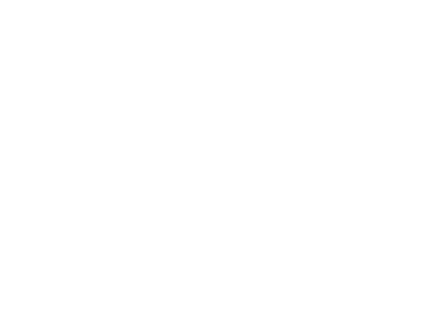 bitvavo-mark-and-logo-white-small
